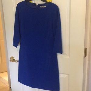 Eliza J size 6 royal blue